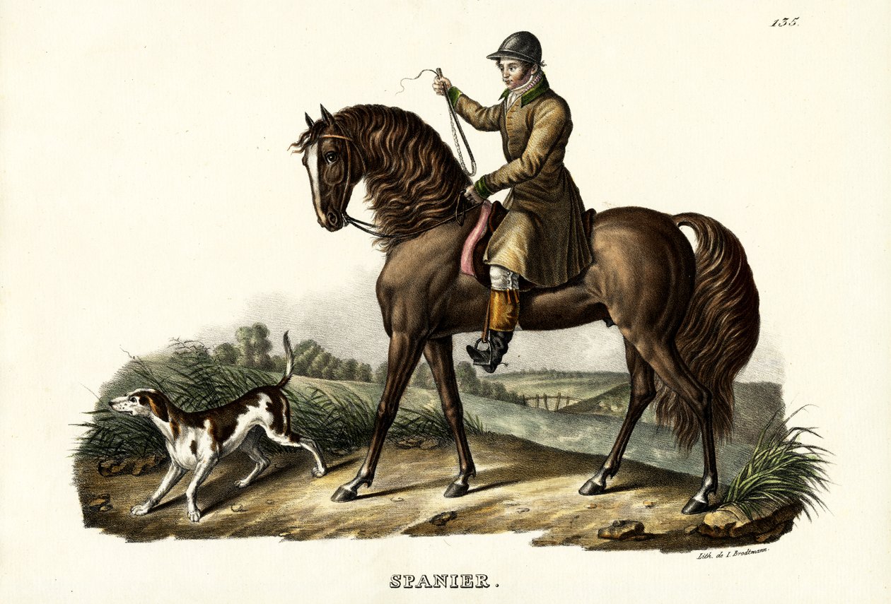 Spansk jegerhest, 1824 av Karl Joseph Brodtmann