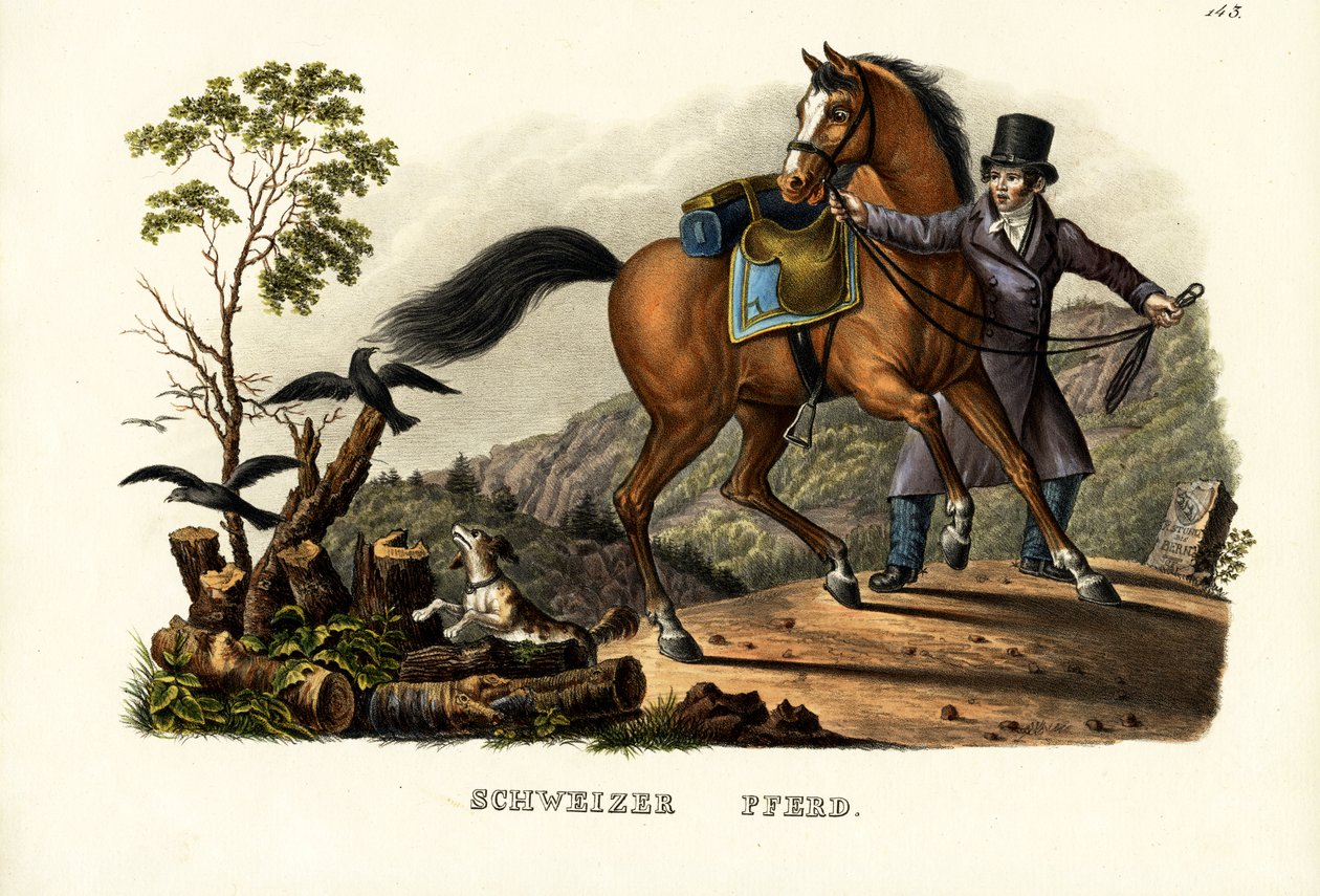 Sveitsisk hest, 1824 av Karl Joseph Brodtmann