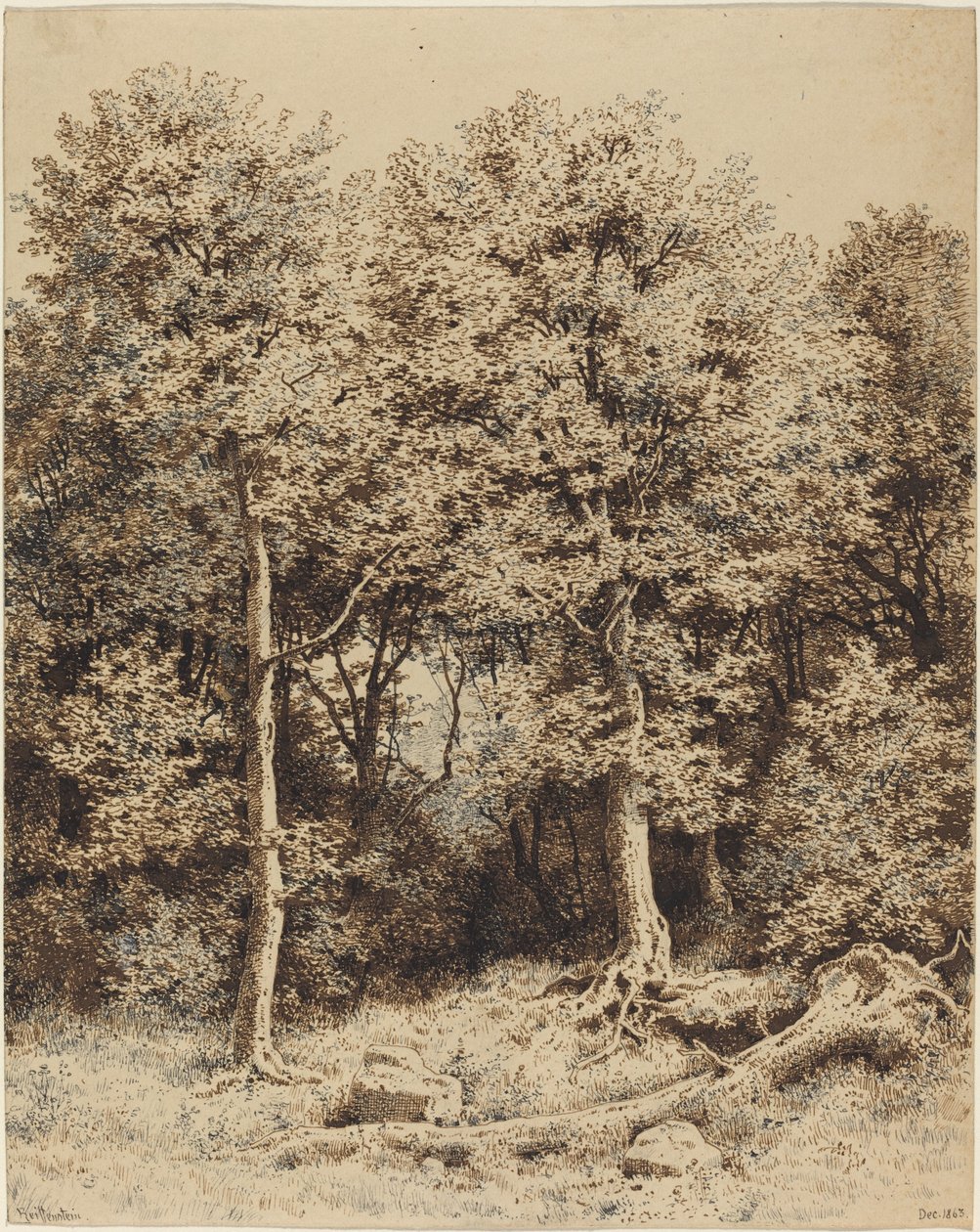 En skog av trær av Karl Theodor Reiffenstein