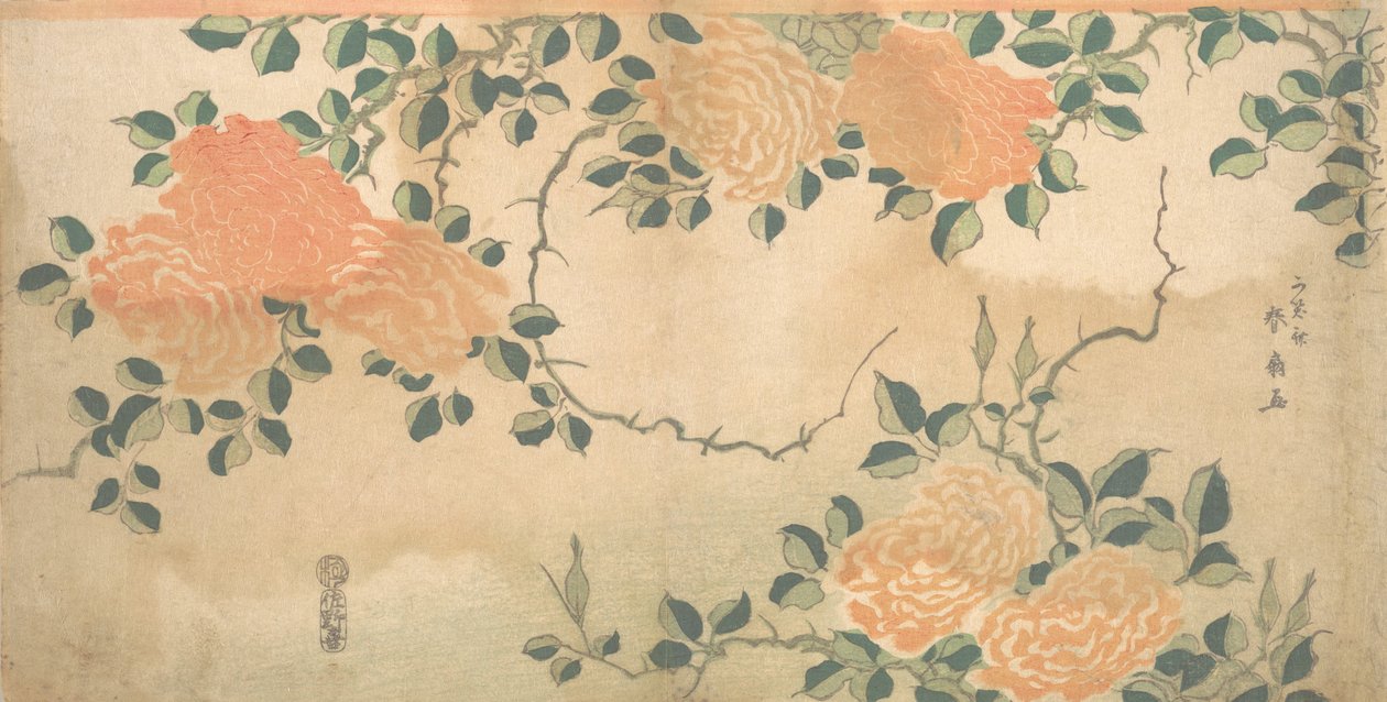 Roser, ca. 1810. av Kashosai Shunsen