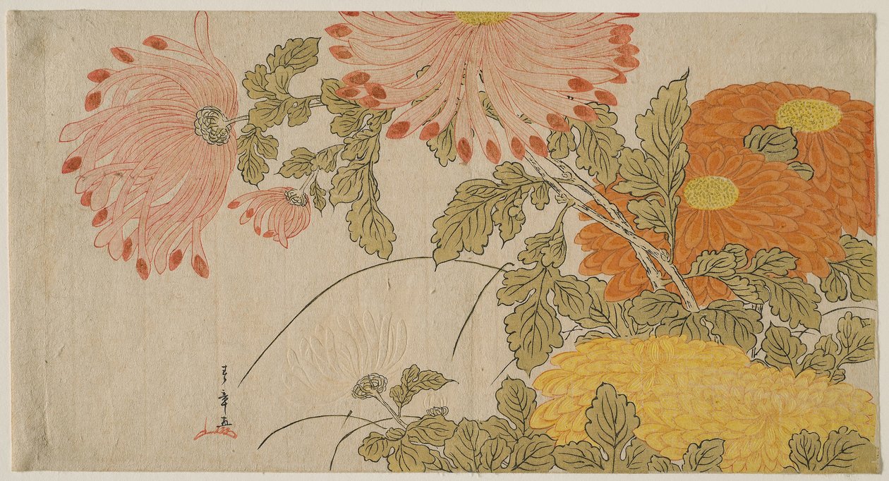 Krysantemum, ca. 1780 (farget treblokktrykk; surimono) av Katsukawa Shunsho