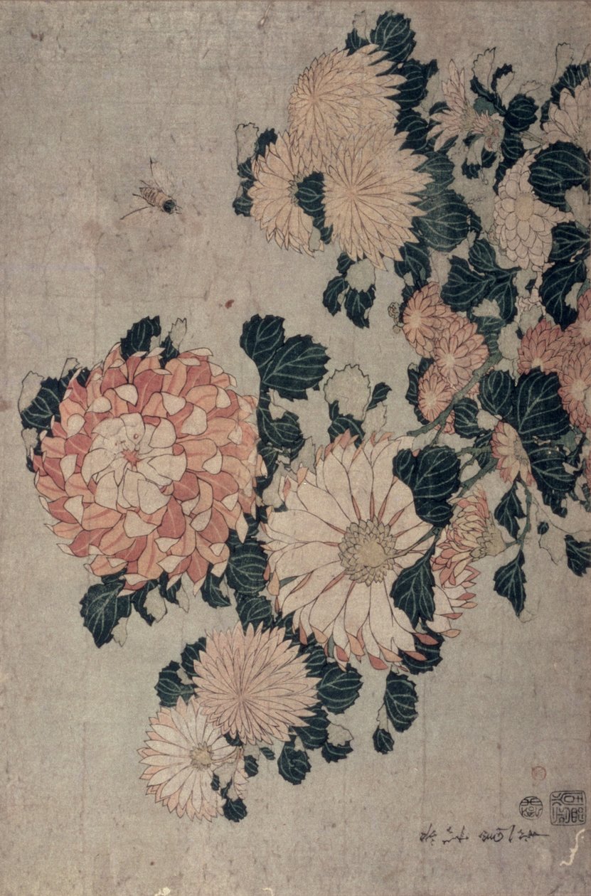 Krysantemum (farget treblokk) av Katsushika Hokusai