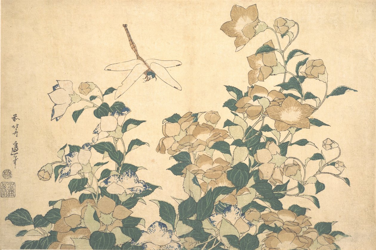 Dragonfly and Bellflower, slutten av 1820-årene. av Katsushika Hokusai