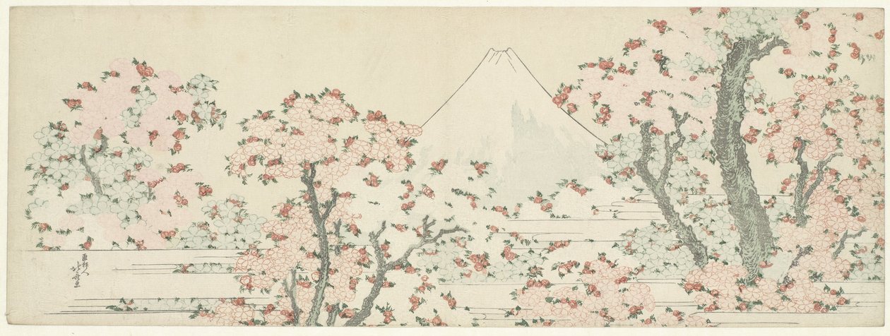 Fuji over Cherry Blossom, ca. 1800-1805 (tresnitt) av Katsushika Hokusai