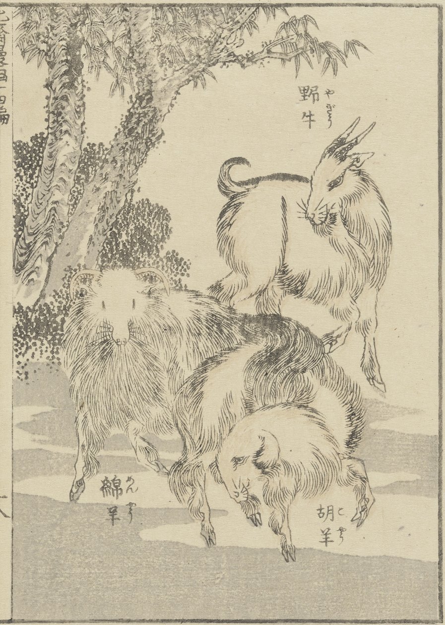 Geiter, c. 1840 (treblokktrykk) av Katsushika Hokusai