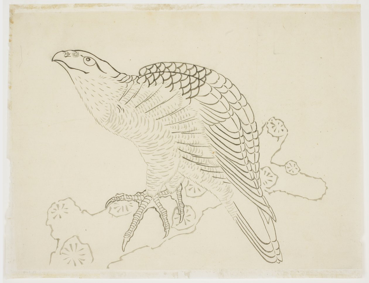 Hawk on a Branch (studie) av Katsushika Hokusai