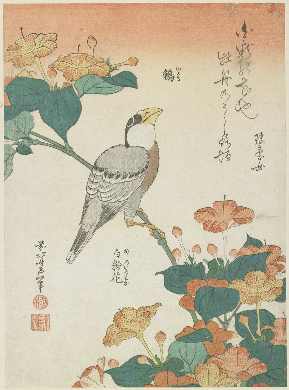 Japansk Grosbeak og Four-o'clocks, ca. 1833 av Katsushika Hokusai