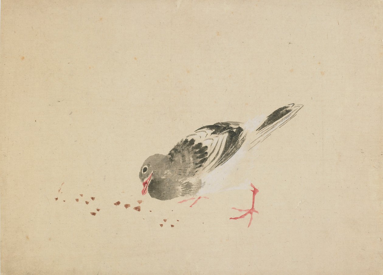 Pigeon, sent på 1700-tallet - begynnelsen av 1800-tallet. av Katsushika Hokusai