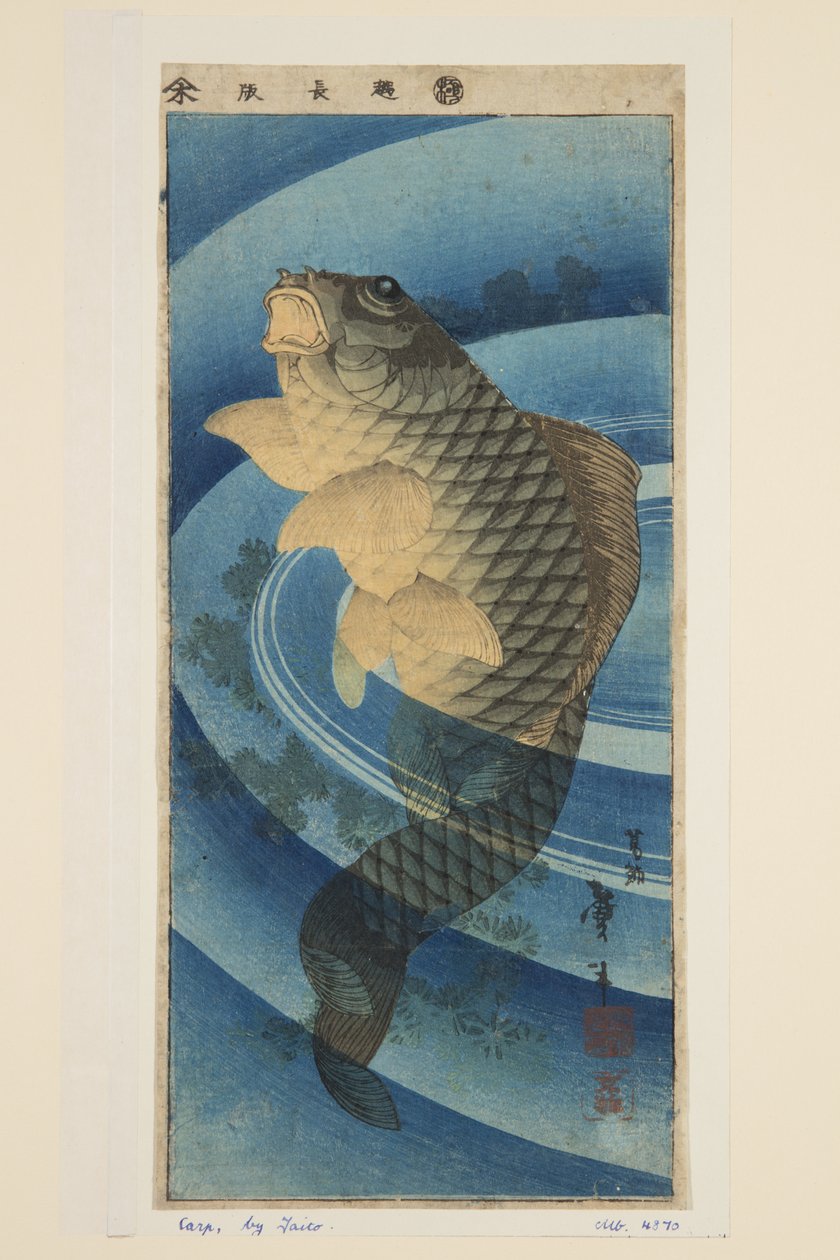 Karpe (farget treblokktrykk) av Katsushika II (fl.1820 50) Taito