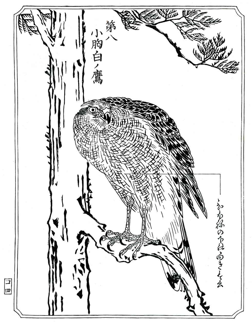 En hauk, 1898. av Kawanabe Kyosai