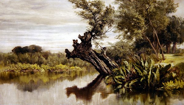 The Willow Tree (olje på lerret) av Keeley Halswelle
