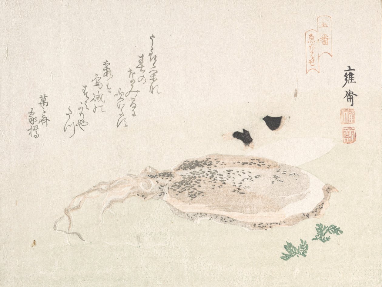 Cuttle Fish, tidlig på 1800-tallet. av Kikuchi Yosai