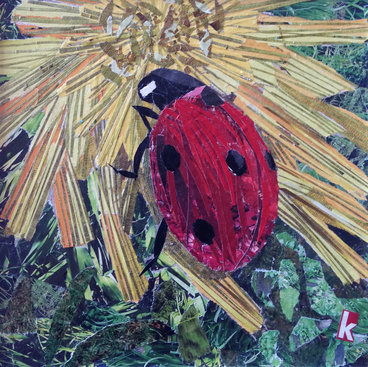 Rise Ladybird På Krysantemum av Kirstie Adamson