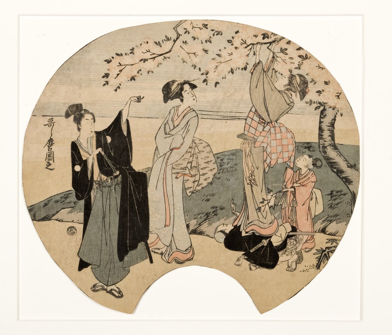 Ser på kirsebærblomster, 1794-96 (treblokk) av Kitagawa Utamaro