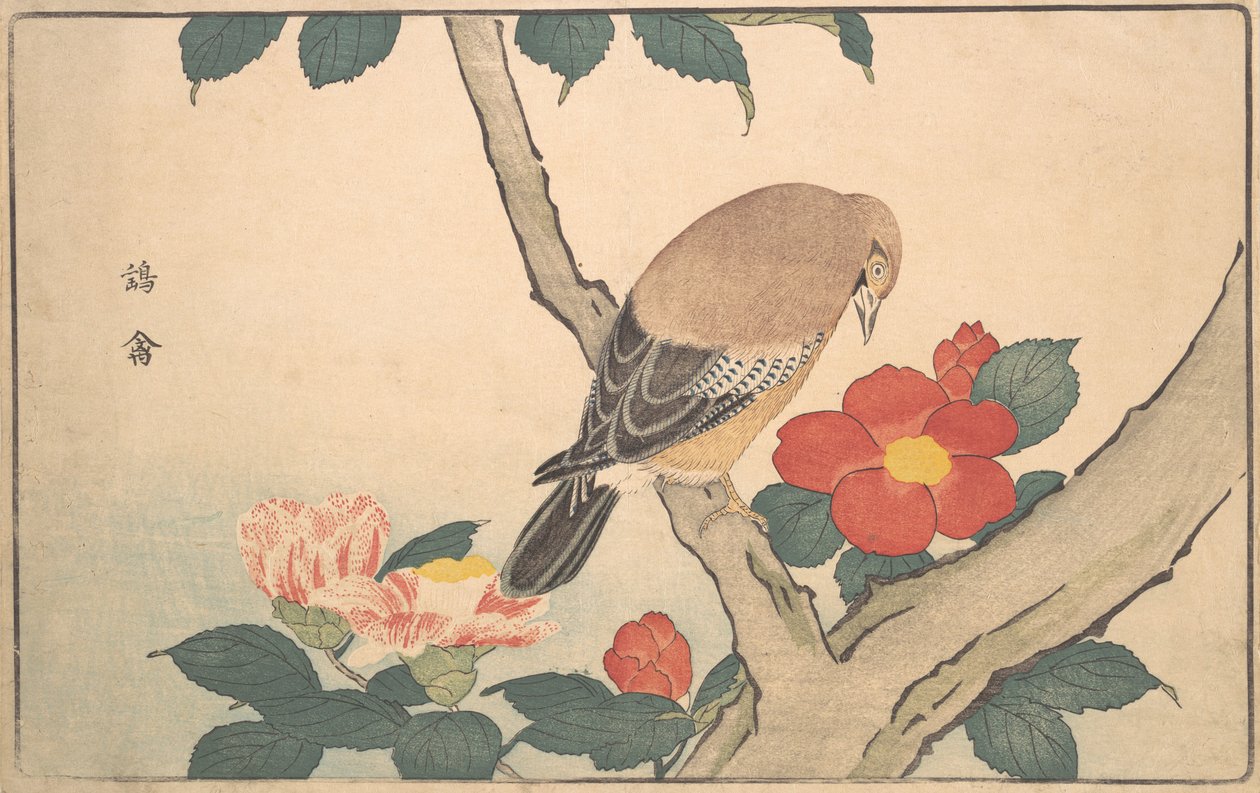 Kameliaer med en fugl, 1789. av Kitao Masayoshi
