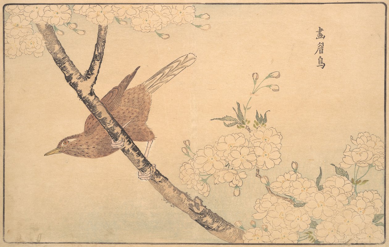 Gråtrosten, 1789. av Kitao Masayoshi