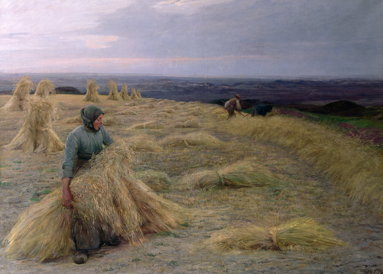 Høsterne, Svinklov-Viildemosen, Jylland av Knud Larsen
