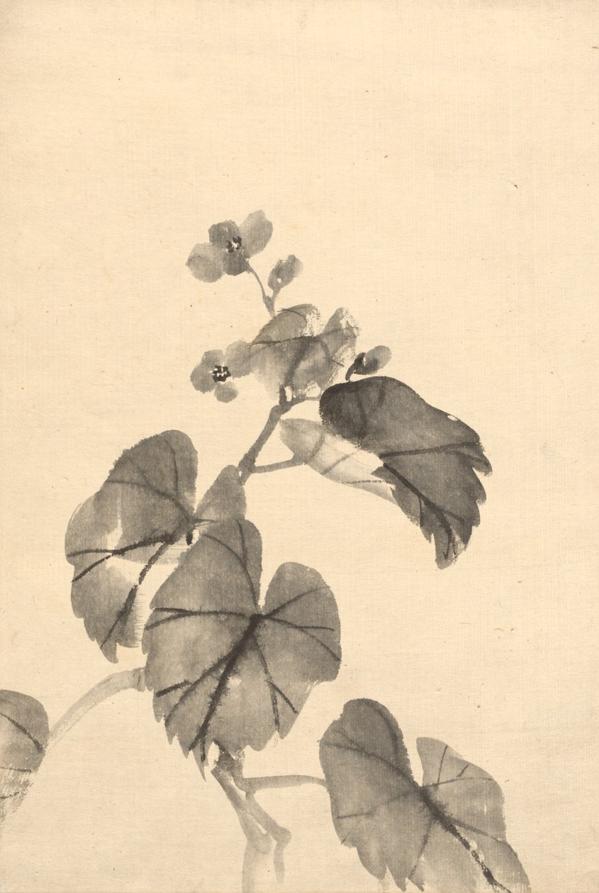 Gren av Begonia i blomst. av Kono Bairei