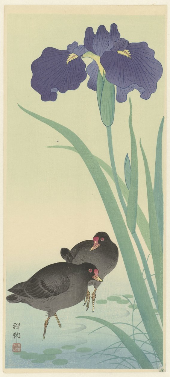 Morhøner og iris (fargetresnitt) av Ohara Koson