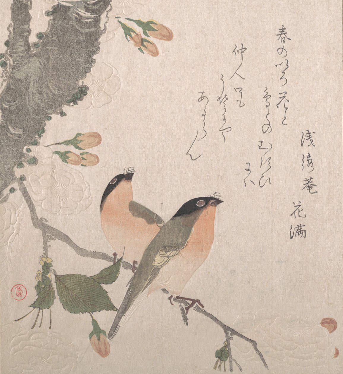 Bullfinches and Cherry Blossoms, 1800-tallet. av Kubo Shunman