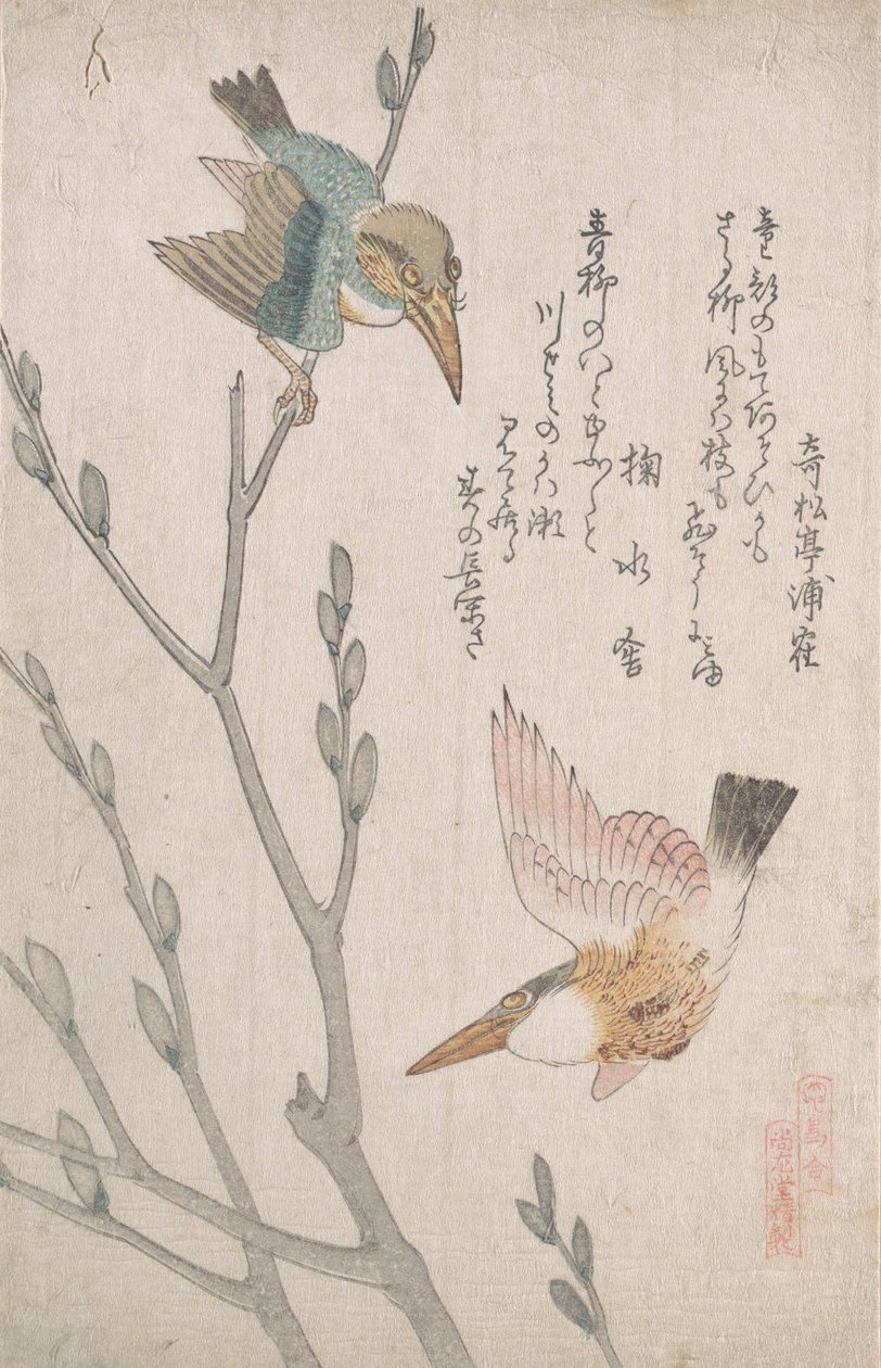 Kingfishers and Pussy-willow, 1800-tallet. av Kubo Shunman