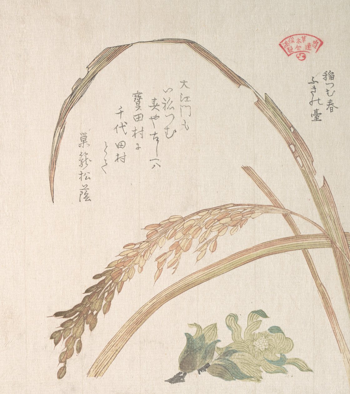 Rice Plant and Butter-Burs, 1800-tallet. av Kubo Shunman