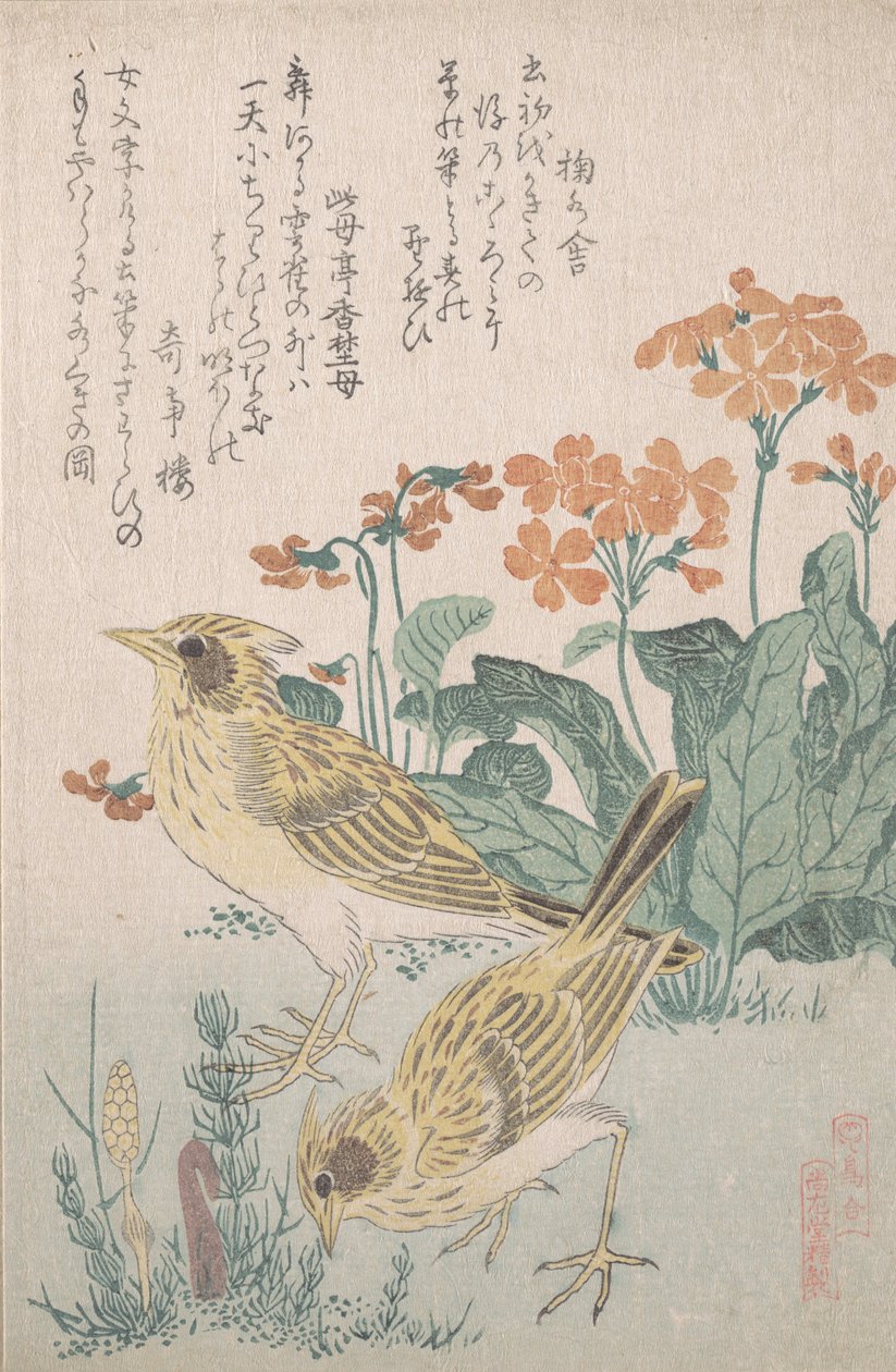 Skylarks og Primroses..., ca. 1805-10. av Kubo Shunman