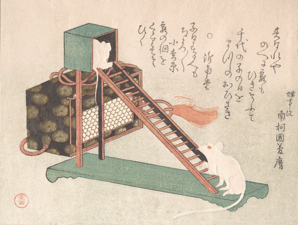 Hvite mus leker, sannsynligvis 1816. av Kubo Shunman