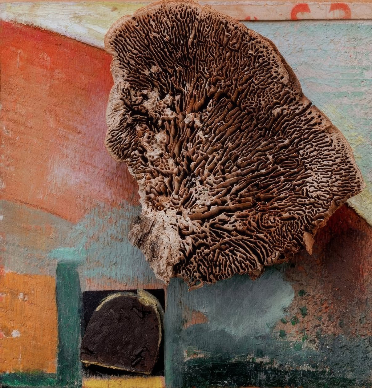 Uten tittel (Merz-bilde med koraller) av Kurt Schwitters
