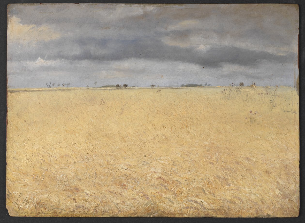 Et rugfelt nær Ring Village av Laurits Andersen Ring