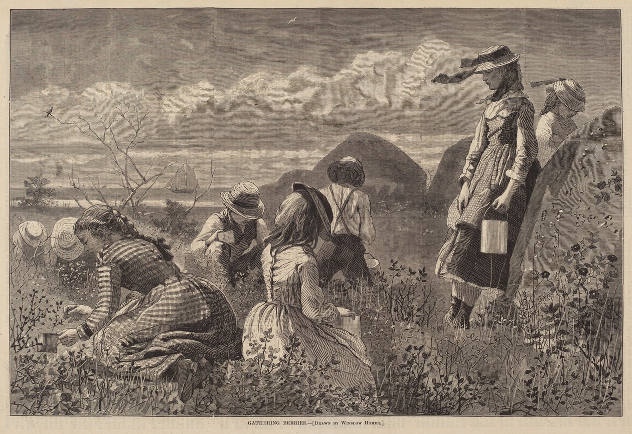 Å samle bær av Lagarde after Winslow Homer