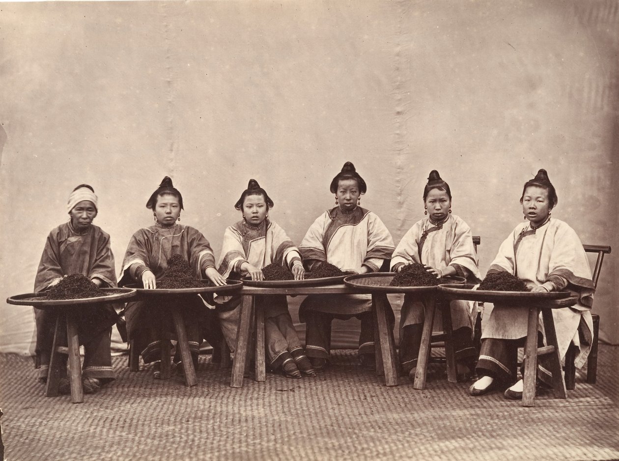Culling Tea, ca. 1869. av Lai Fong.