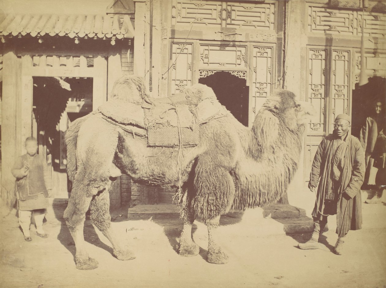 Pekin. nr. 923, 1867. av Lai Fong.