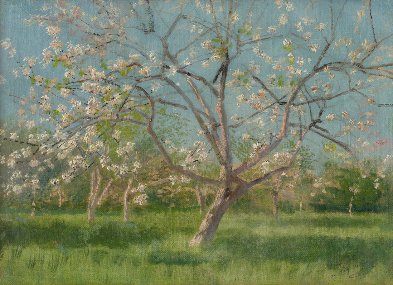 Frukthagetrær i blomst, 1900-10 av Laszlo Mednyanszky