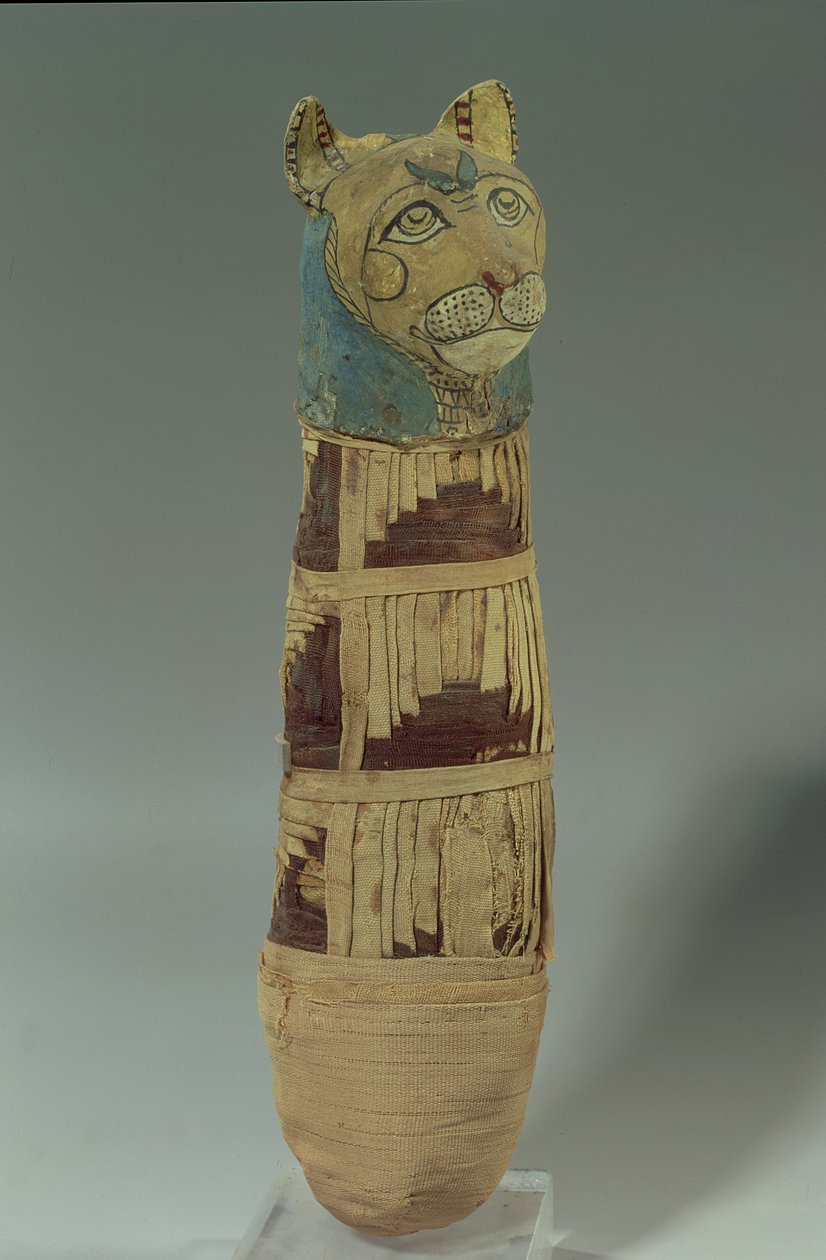 Mumifisert katt (støkket og malt lin) av Late Period Egyptian