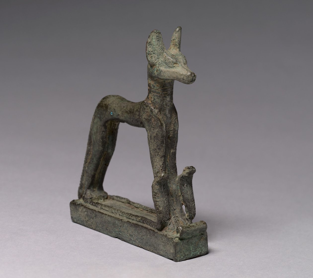 Sjakal, 664-30 f.Kr av Late Period Egyptian