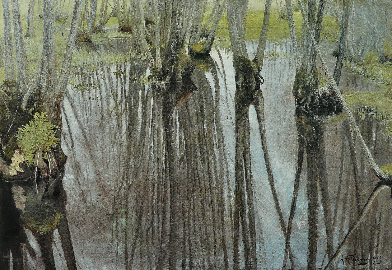 Daulnesn -stammer av Laurits Andersen Ring