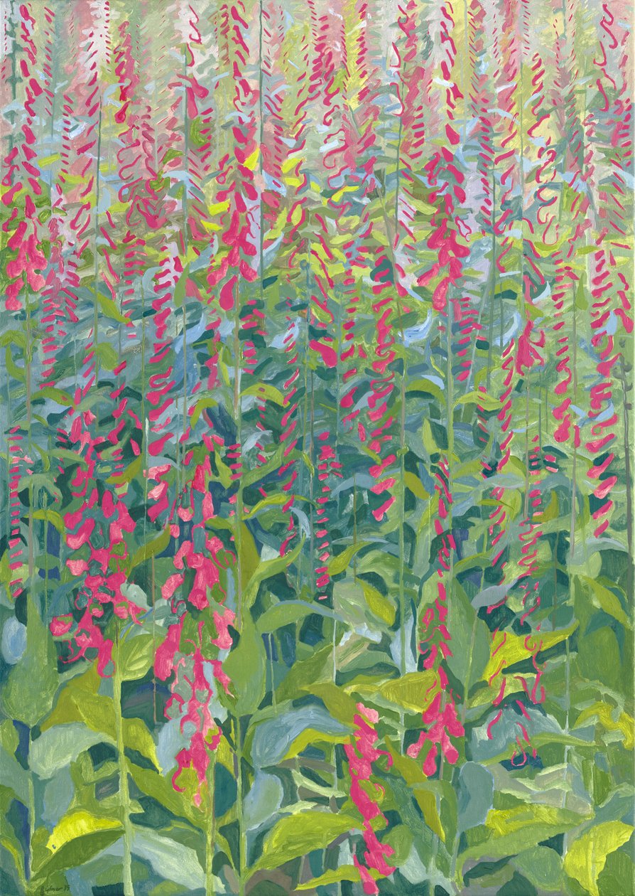 Revehansker, 2014 av Leigh Glover