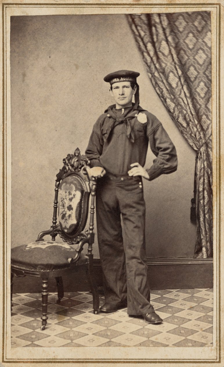  av Lemuel S. Hicks
