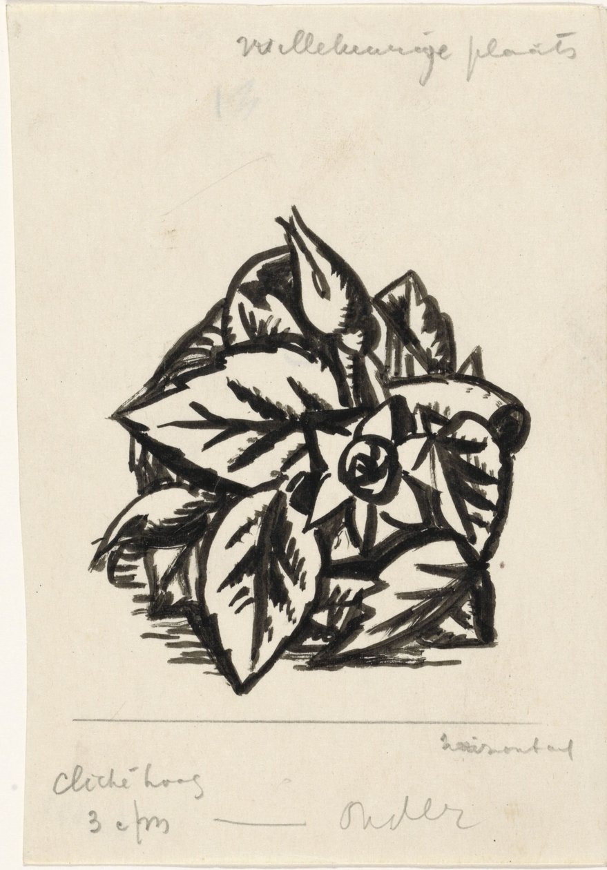 Blomster av Leo Gestel