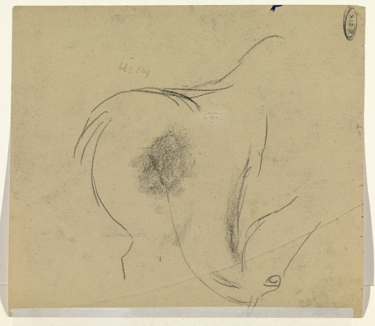 hestehode av Leo Gestel