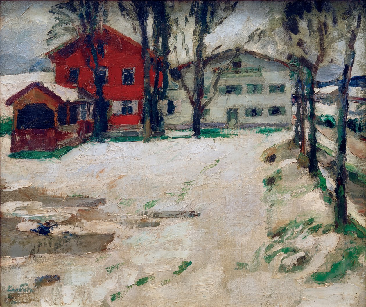 Inn i snøen av Leo Putz