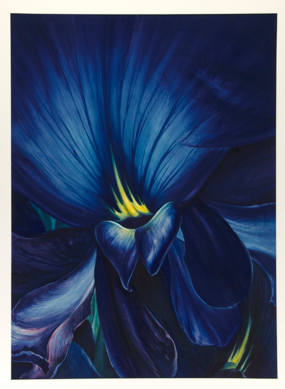 Kinesisk delphinium av Leon Carroll