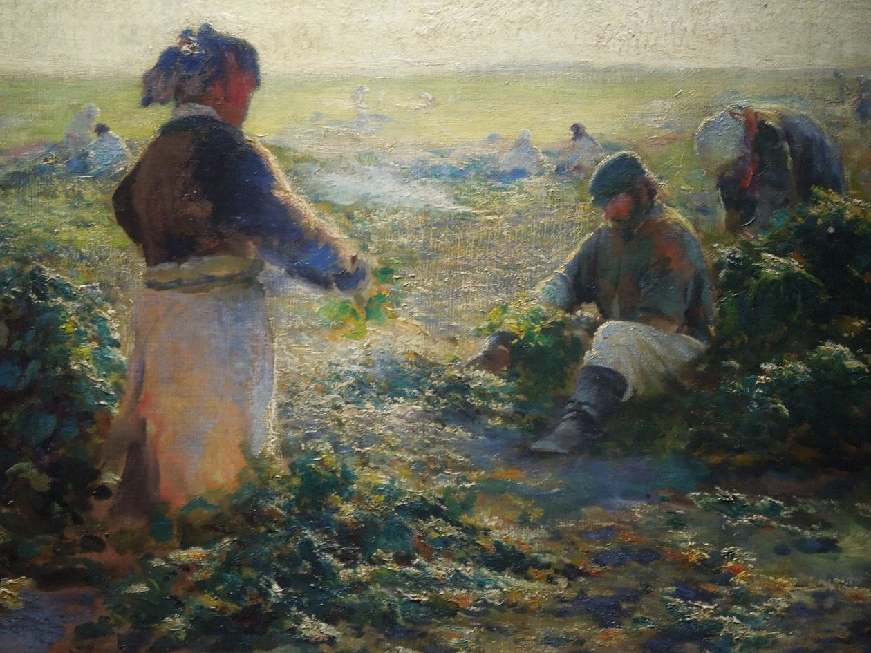 Graving rødbeter I av Leon Wyczółkowski