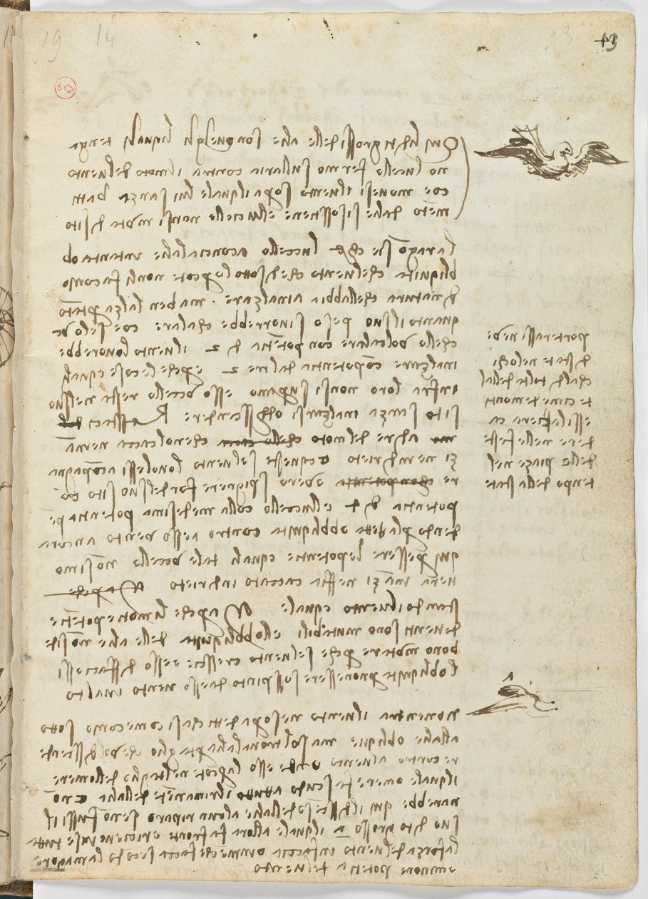 Fuglers flykode, c. 1505-06, papirmanuskript, cc. 18, ark 13 recto av Leonardo da Vinci
