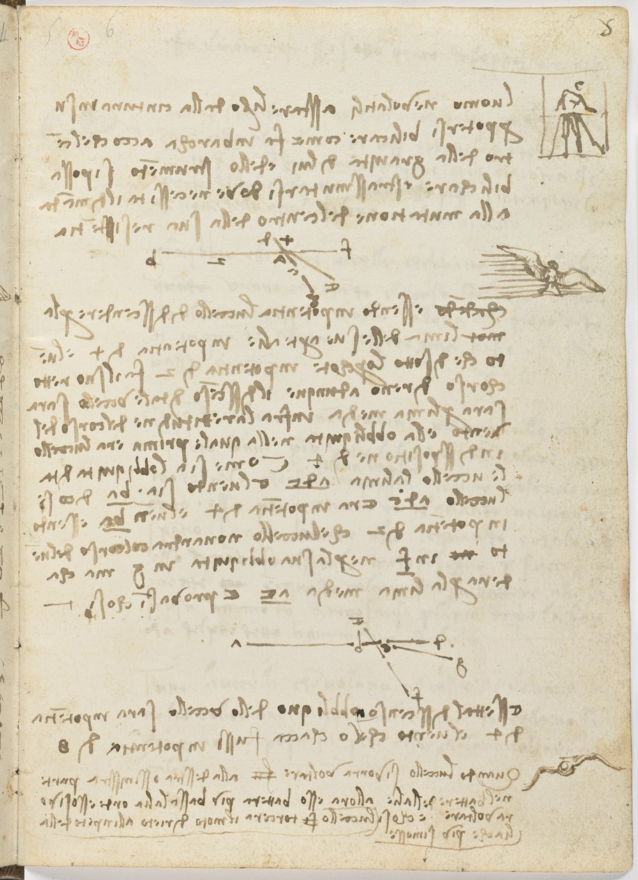 Fuglers flykode, c. 1505-06, papirmanuskript, cc. 18, ark 5 recto av Leonardo da Vinci