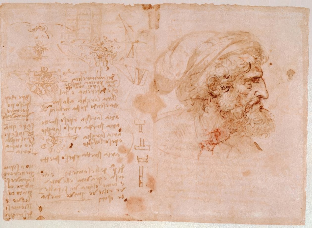 Bladpyntstudier / profilportrett av en gammel mann ... av Leonardo da Vinci