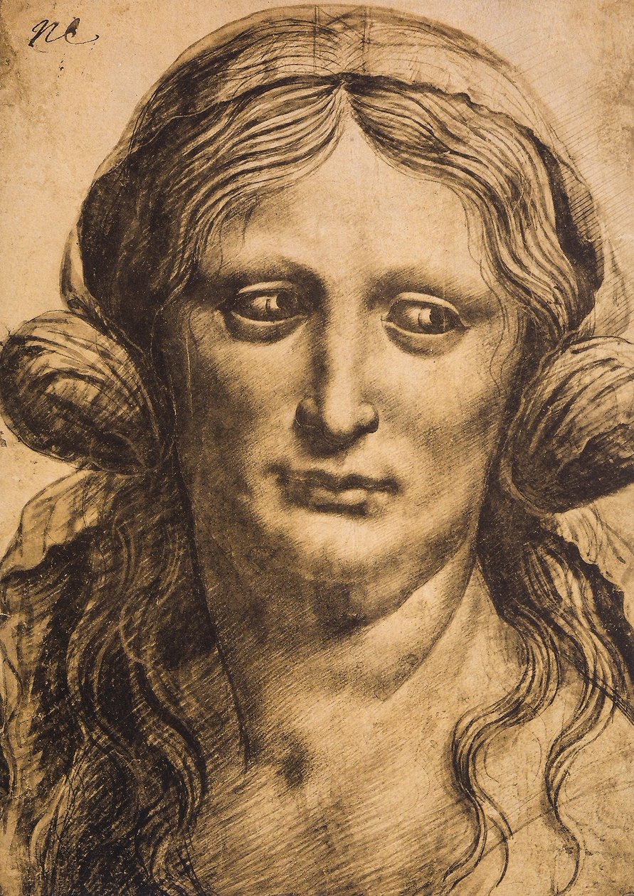 Kvinneportrett; tegning av Leonardo da Vinci. Louvre, Paris av Leonardo da Vinci