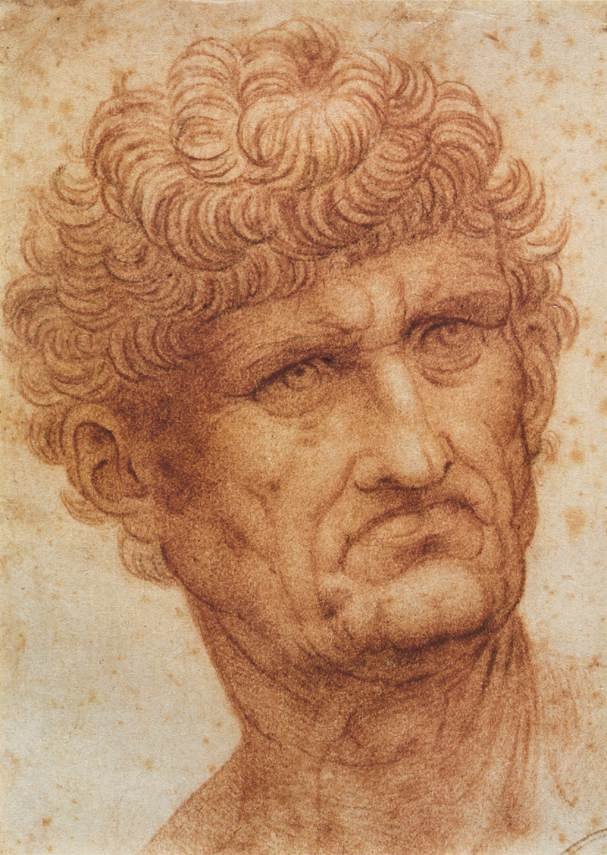 Hodet til en mann av Leonardo da Vinci