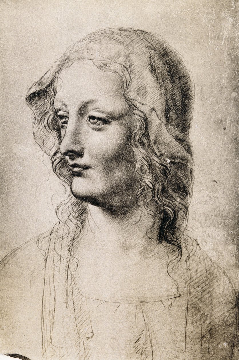 Head of a Young Woman (kull på papir) av Leonardo da Vinci